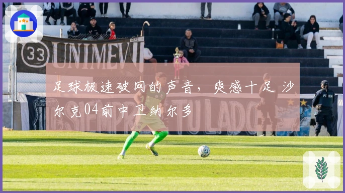 足球极速破网的声音，爽感十足 沙尔克04前中卫纳尔多