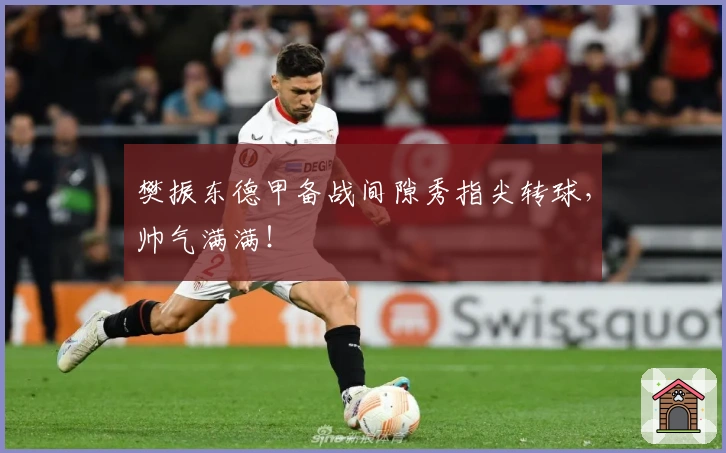 樊振东德甲备战间隙秀指尖转球，帅气满满！