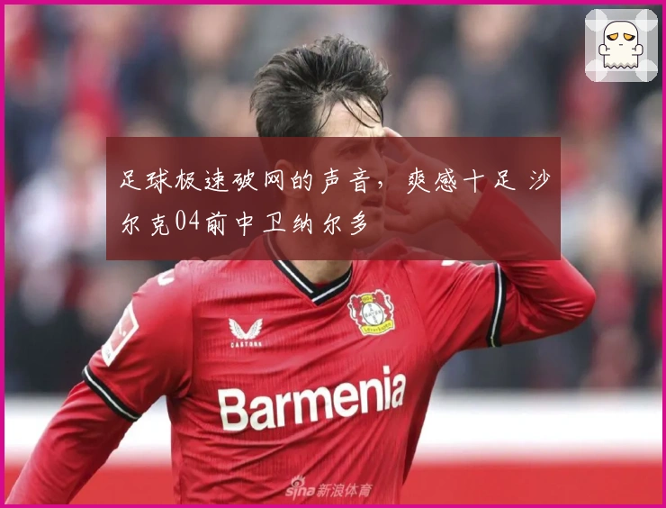 足球极速破网的声音，爽感十足 沙尔克04前中卫纳尔多
