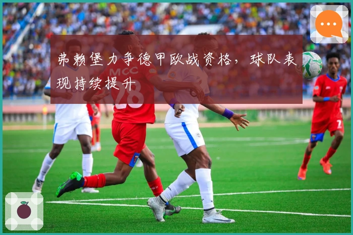 弗赖堡力争德甲欧战资格，球队表现持续提升